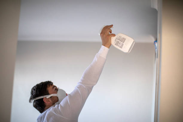 Best Basement Mold Remediation in Littlefield, TX