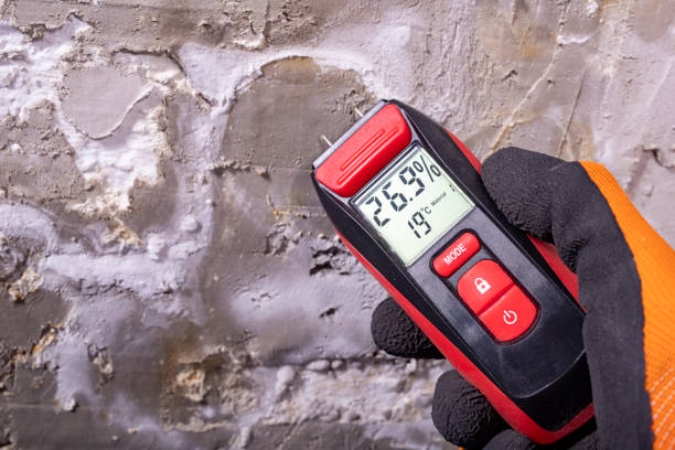 Best Post-Flood Mold Remediation in Littlefield, TX
