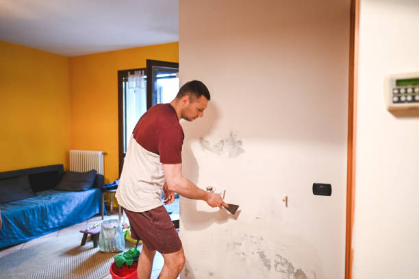 Best Attic Mold Remediation in Littlefield, TX